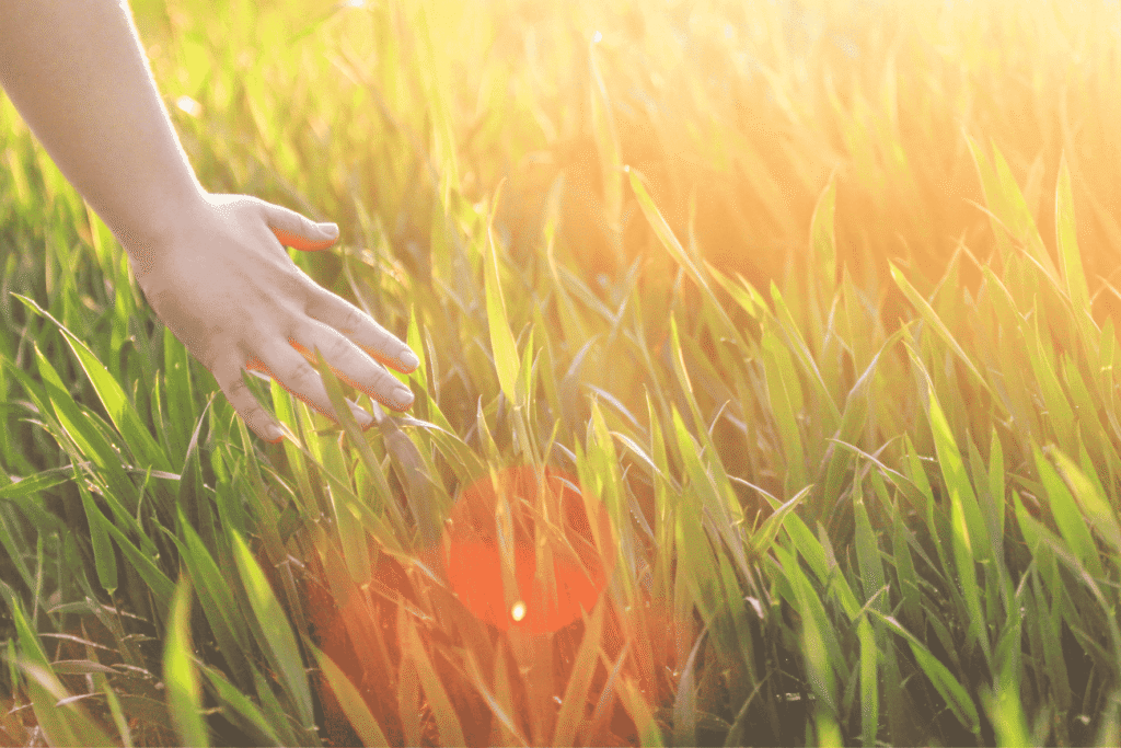 Ein Kind mit ADHS, das das Gras spürt und sich so erdet und reguliert